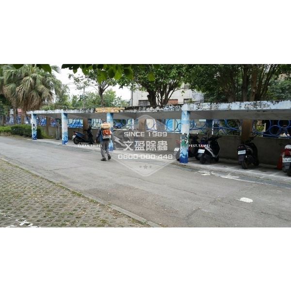 學校環境除蟲消毒.蜘蛛防治