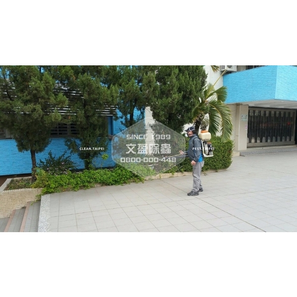學校環境除蟲消毒.蜘蛛防治-文盈蟲害防治企業社