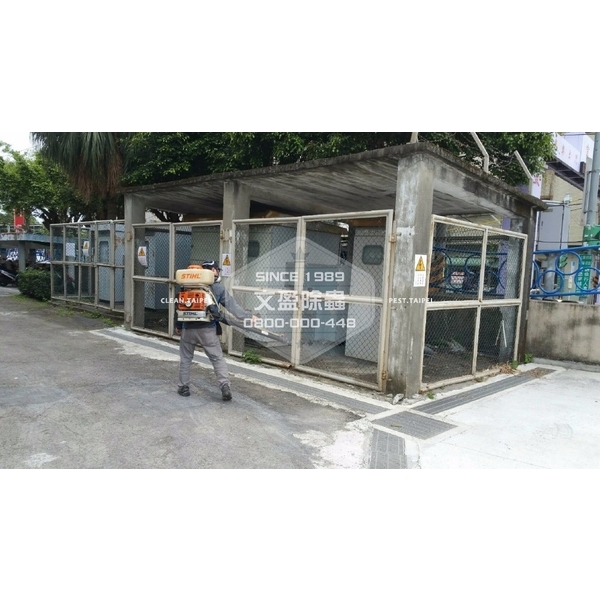 學校環境除蟲消毒.蜘蛛防治