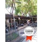 校園環境除蟲消毒 - 文盈蟲害防治企業社