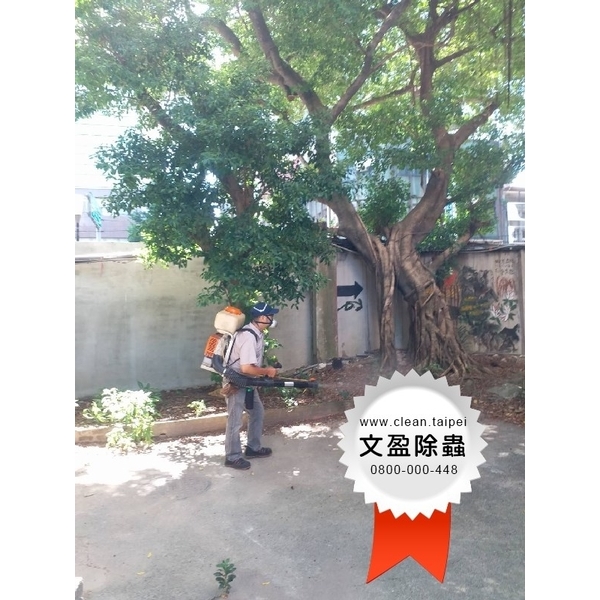 校園環境除蟲消毒