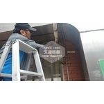 捕鼠 - 文盈蟲害防治企業社