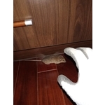 活捉老鼠 - 文盈蟲害防治企業社