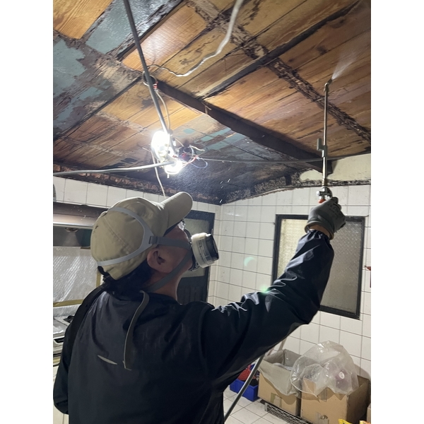 白蟻防治,文盈蟲害防治企業社