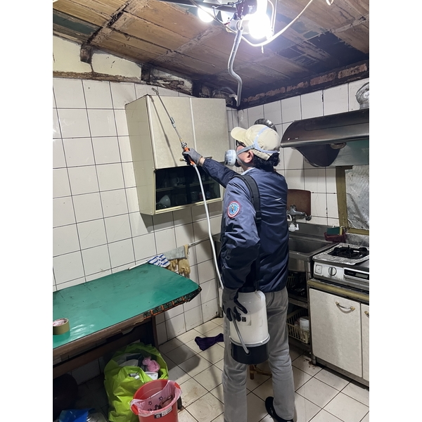 白蟻防治-文盈蟲害防治企業社