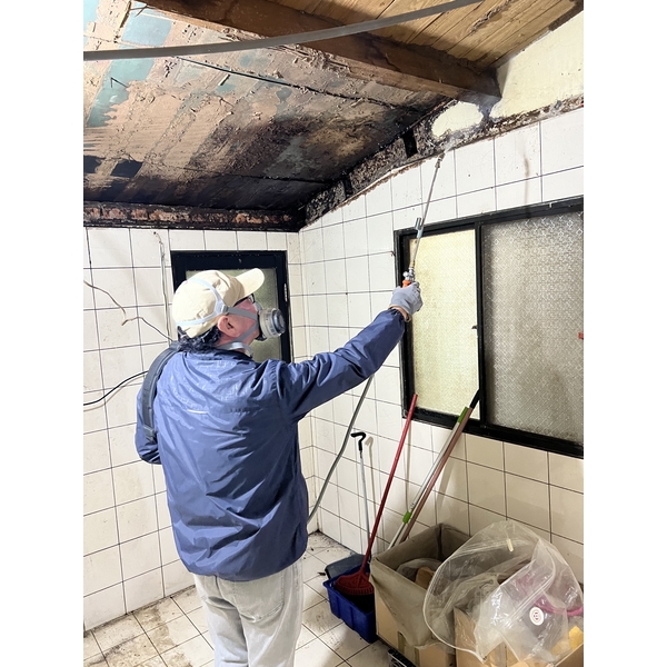 白蟻防治-文盈蟲害防治企業社