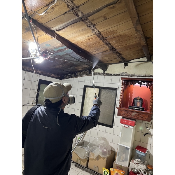 白蟻防治-文盈蟲害防治企業社