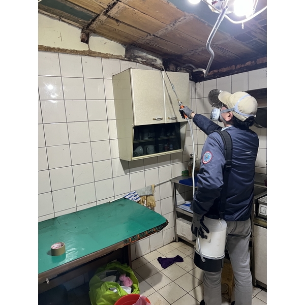 白蟻防治-文盈蟲害防治企業社