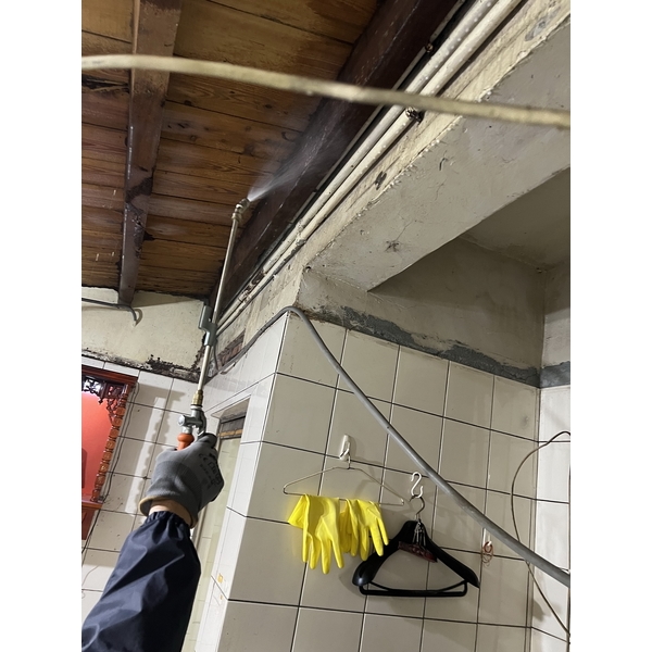 白蟻防治-文盈蟲害防治企業社