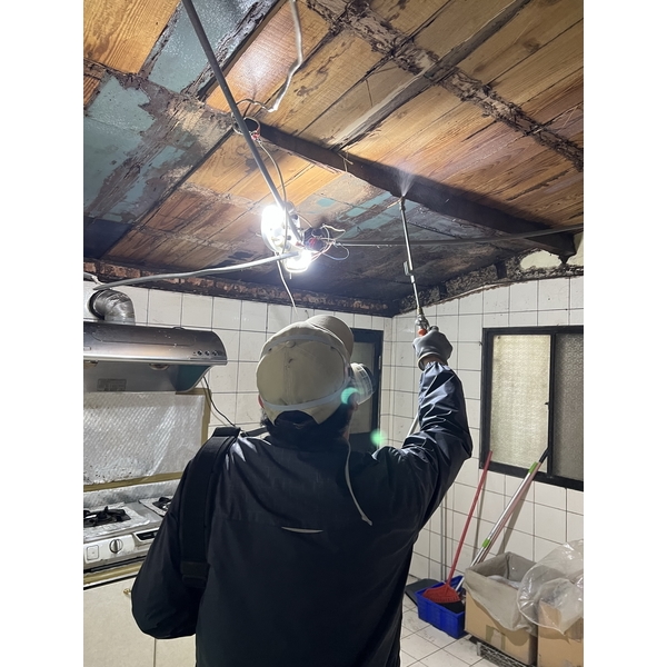 白蟻防治-文盈蟲害防治企業社