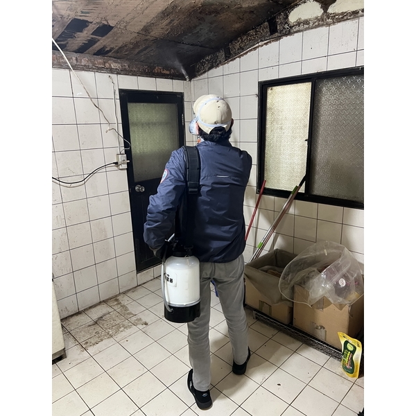 白蟻防治-文盈蟲害防治企業社