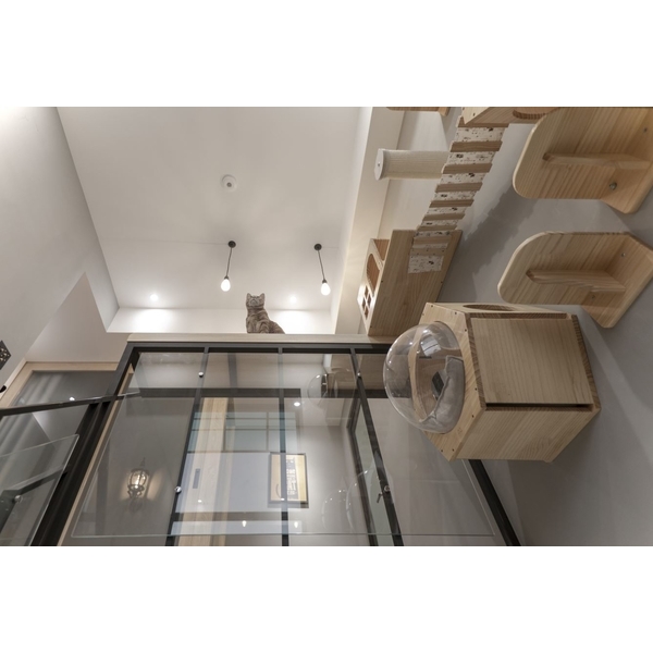 給與毛小孩愉快時光-北歐風