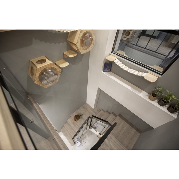 給與毛小孩愉快時光-北歐風