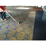 地毯清洗 - 孝欣環境維護事業有限公司