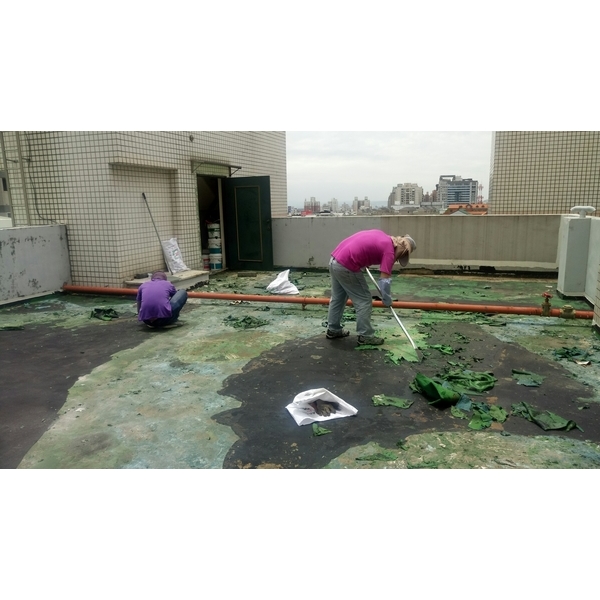 屋頂地坪剷除舊有PU,嘉興隆工程有限公司