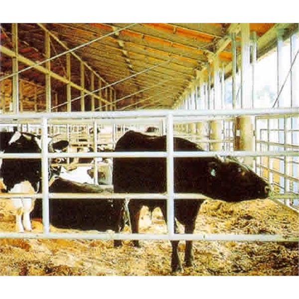 牛舍,昕一工業股份有限公司