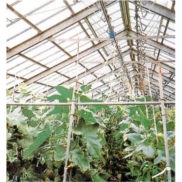 植物栽培溫室,昕一工業股份有限公司