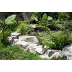 生態池施工 - 芊邑園景工程有限公司