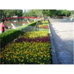 台中公園百年慶綠美化工程 - 芊邑園景工程有限公司