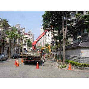 台中市政府樹木移植等工程-移植前