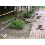 軍功國小樹穴改善施工前 - 芊邑園景工程有限公司