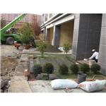 豐勢路別墅群景觀綠化 - 芊邑園景工程有限公司