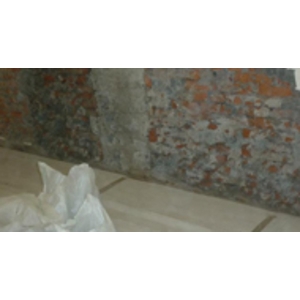牆面壁癌處理