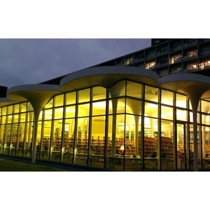 台大社科館樹狀造型柱