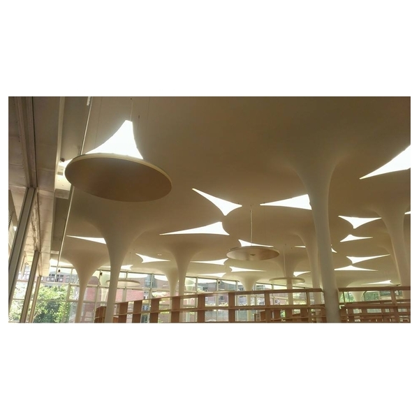 台大社科館樹狀造型柱