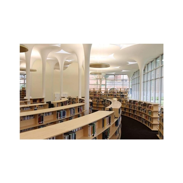 台大社科館樹狀造型柱