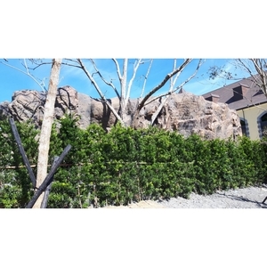 春天酒店GRC假山