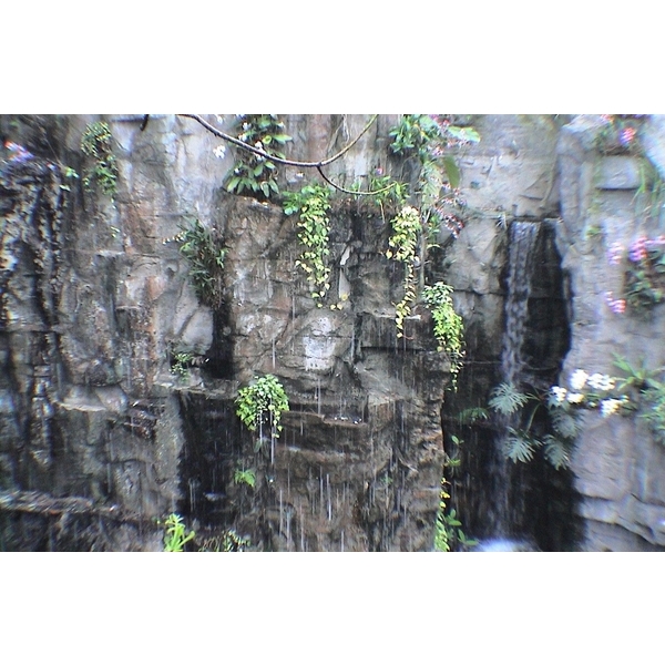 假山,國園工程有限公司