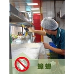 蟑螂防治 , 上安專業除蟲企業行