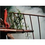 登革熱、小黑蚊、熱霧施工 - 上安專業除蟲企業行