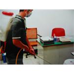 辦公室跳蚤防治 - 上安專業除蟲企業行