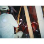 神像佛像蛀蟲薰蒸(施藥) - 上安專業除蟲企業行