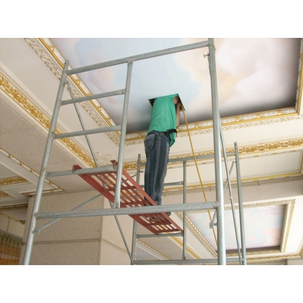 白蟻防治 白蟻防治-上安專業除蟲企業行