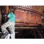 白蟻防治 - 上安專業除蟲企業行