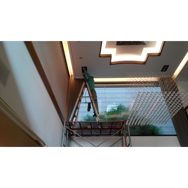 蛀蟲防治 蛀蟲防治-上安專業除蟲企業行