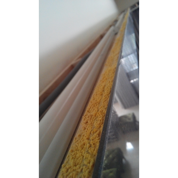 蛀蟲防治 蛀蟲防治-上安專業除蟲企業行