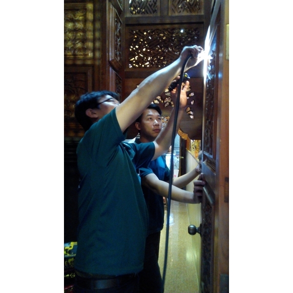 蛀蟲防治-上安專業除蟲企業行