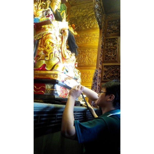 蛀蟲防治-上安專業除蟲企業行