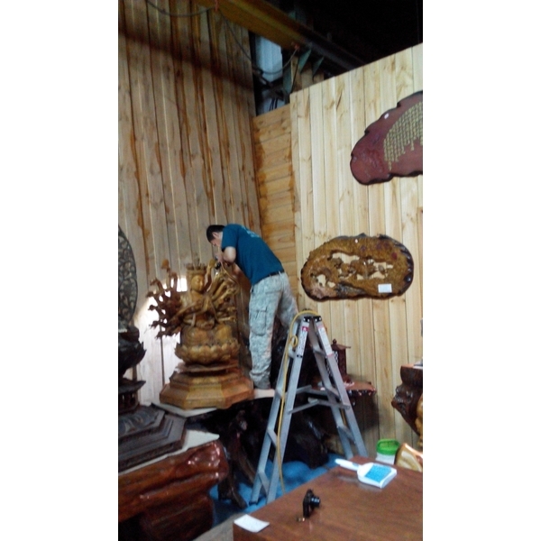 蛀蟲防治-上安專業除蟲企業行