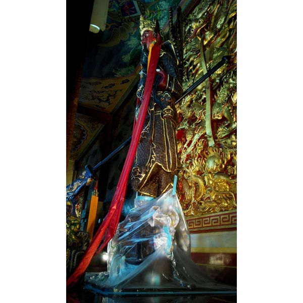 蛀蟲防治,上安專業除蟲企業行