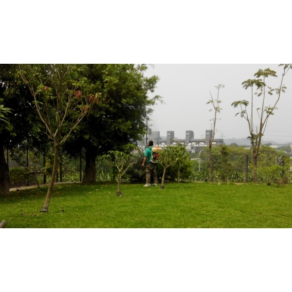 環境消毒-上安專業除蟲企業行