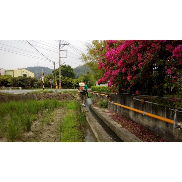 環境消毒-上安專業除蟲企業行