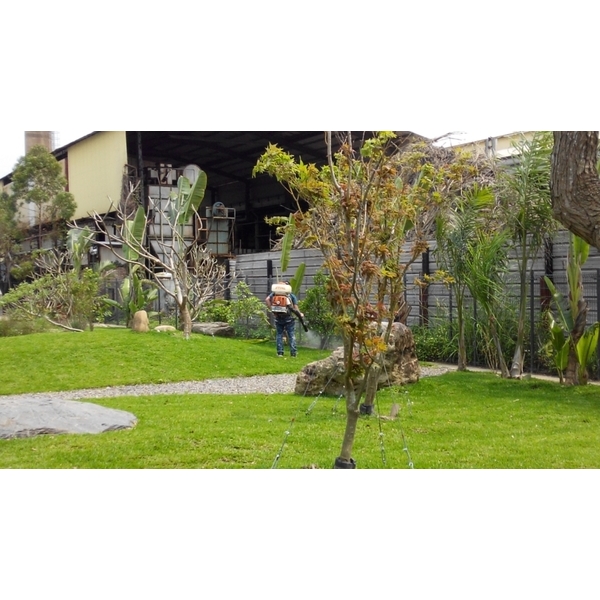 環境消毒,上安專業除蟲企業行