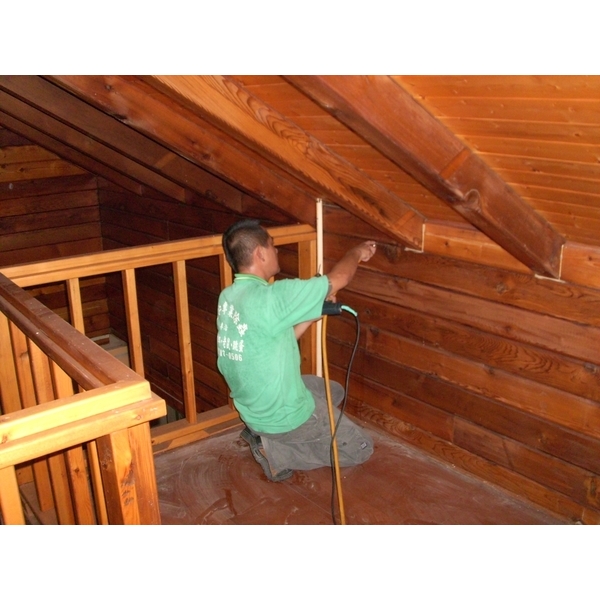 白蟻防治-上安專業除蟲企業行