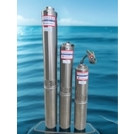 富蘭克林沉水馬達