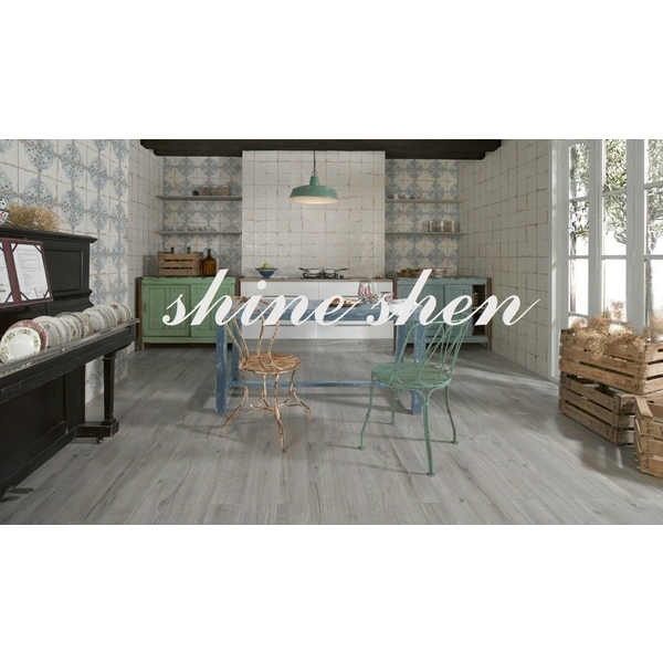 磁磚實景圖-翔紳股份有限公司